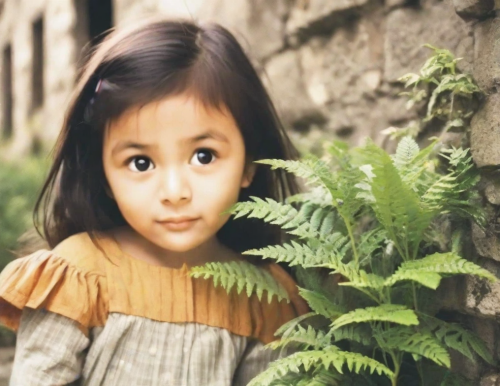 smile,little girl in wind,the little girl,little girl,young girl,girl with tree,child portrait,girl picking flowers,child girl,vietnamese woman,little girl fairy,girl in the garden,little girl reading